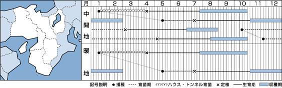 ホワイトスターうら