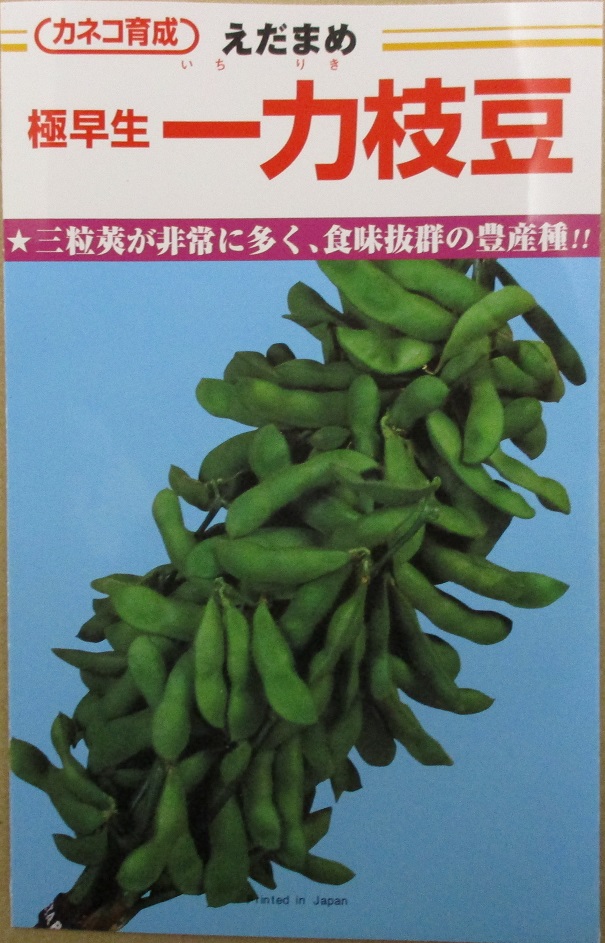 一力絵袋
