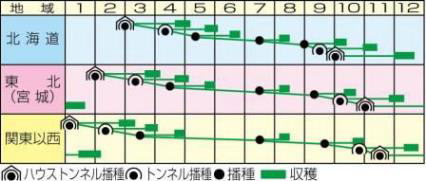 河北うら