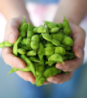 改良だだちゃ豆