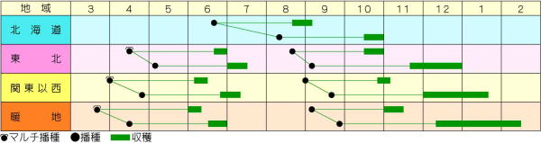 からいね赤 うら