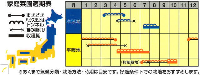 黄小玉Hうら