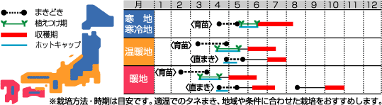 コリンキー裏