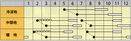 クリームハーモニーうら
