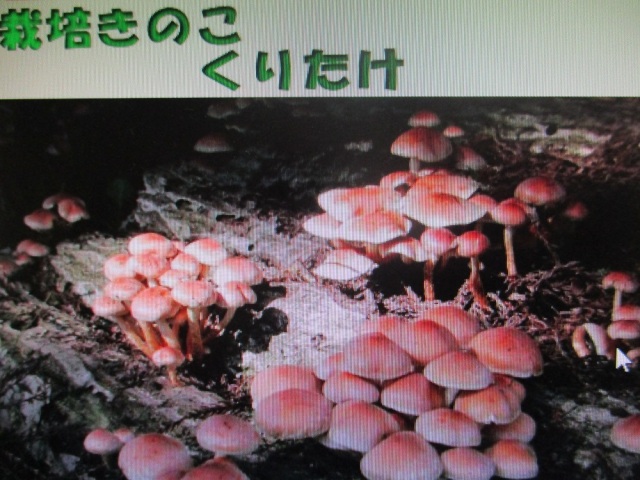 くりたけ