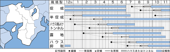 京ひかりうら