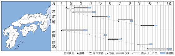 京かなで裏