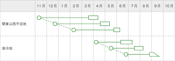 舞姫うら