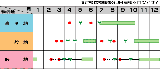 美星うら