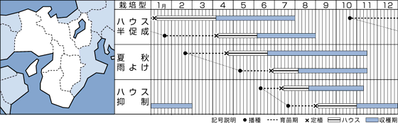 桃ファイトうら