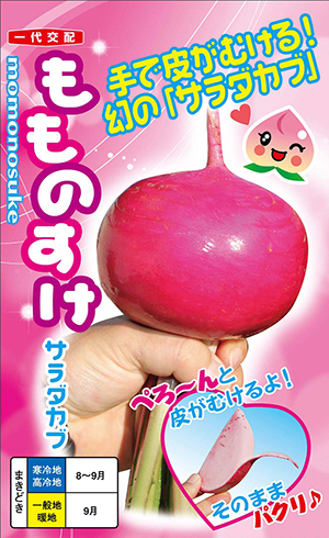 もものすけ サラダカブ