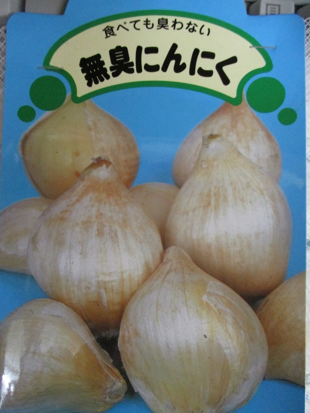無臭 にんにく 国産