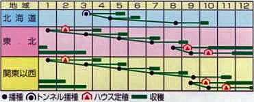 なべ奉行うら