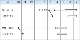 成駒三十日うら