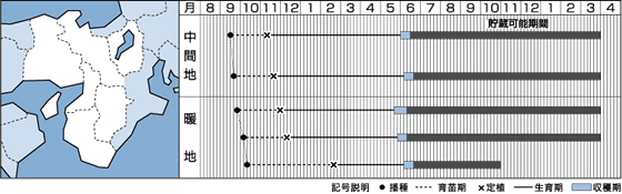 ネオアースうら