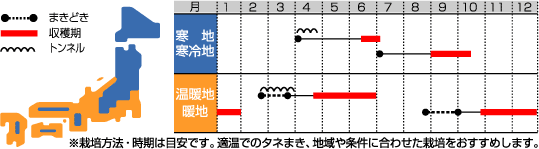 オータムポエムうら