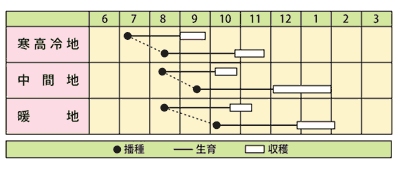 おでん大根うら