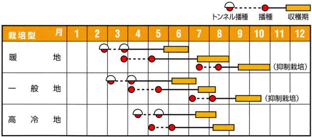 おおものうら