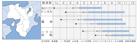 ピー太郎うら