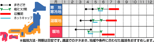 プリンスメロン裏