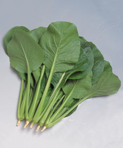 楽天