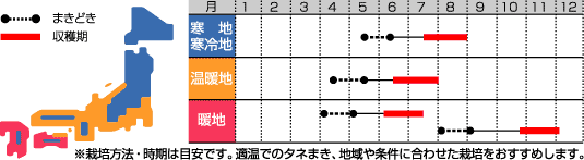 サクサク王子うら