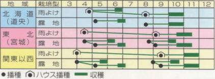 サマービクトリー７うら