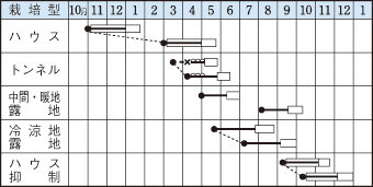 さつきみどり２号うら