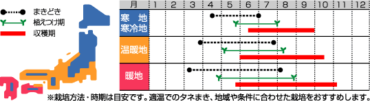 さつきみどり裏