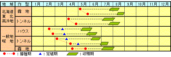 莢音うら