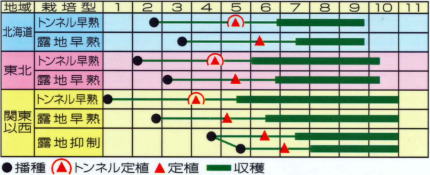 紫紺仙台長うら