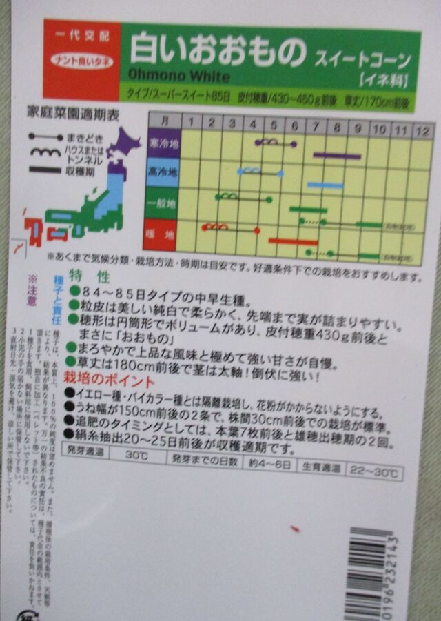 白いおおもの裏