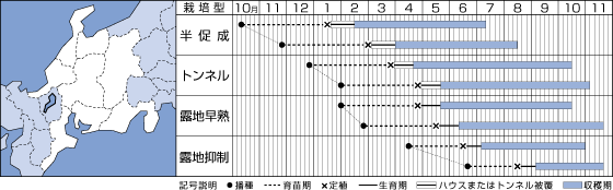 SL紫水うら