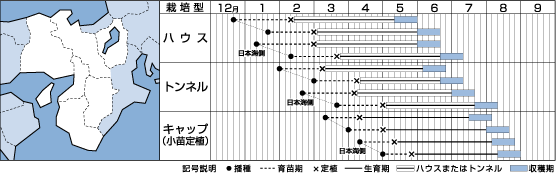 秀山うら