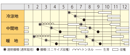 パープルターゲットうら