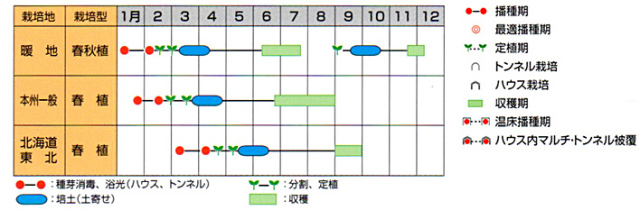 たいりょう裏