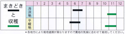 丹波献上黒大豆 うら