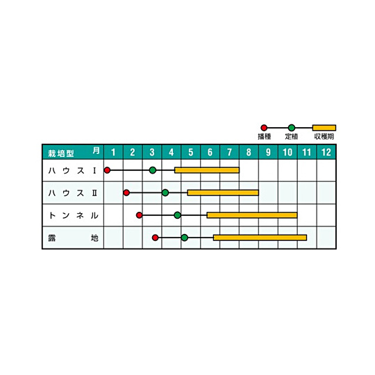 とんがりパワーうら