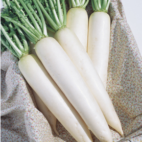 トップランナー