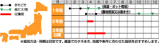 ウェルカムうら
