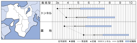 ＶＲ夏すずみ裏