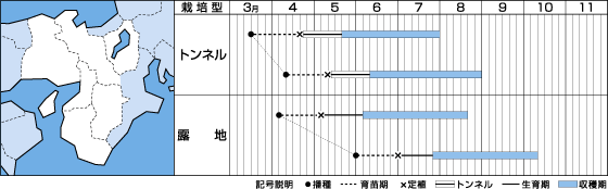 Vロードうら