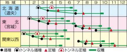 ＹＲ青春二号うら