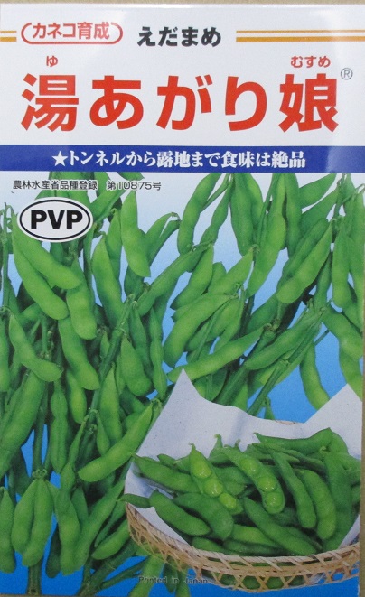 湯上がり娘絵袋