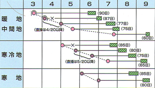 湯あがり娘うら