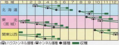 ＣＲ雪あかり裏