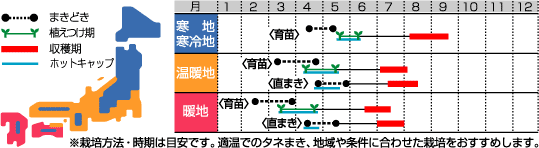 雪化粧うら