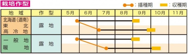 雪音うら