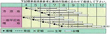 優緑うら