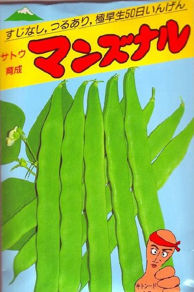 マンズナル